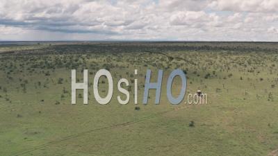 Wildlife Holiday In Laikipia, Kenya. Aerial Drone View Of 4 Wheel Drive Driving Through African Savanna Landscape
