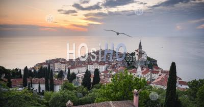 Photo Of Slovenia At Piran Old Town With Mediterranean Sea And Traditional Red Rooftops. Elevated Photo View Of Slovenian Coast Scenery At Sunset
