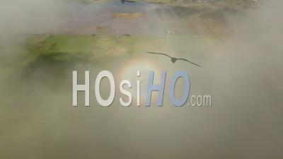 Aerial Rainbow Halo Ring Shown In Field. - Video Drone Footage