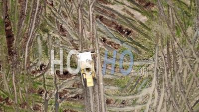 Vue Aérienne De La Récolte Du Riz Mûr Sur Rizière Par Machine à La Malaisie. - Vidéos De Drone Vidéo