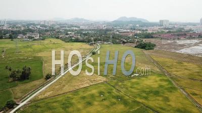 Aerial View The Green Paddy Field. - Video Drone Footage