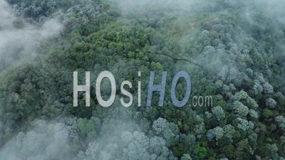 Aerial Fly Over Fog Sea View Of Forest At Penang Hill - Video Drone Footage