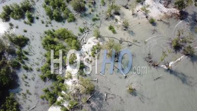 White Sand And Mangrove Tree At Tanjung Piandang - Video Drone Footage