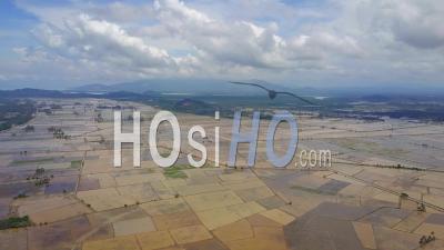 Aerial View Fly Over Flooded Paddy Field With Gunung Jerai As Background - Video Drone Footage