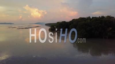 Vue Aérienne Coucher De Soleil Vue Les Arbres De Mangrove Près De La Côte - Vidéo Aérienne Par Drone