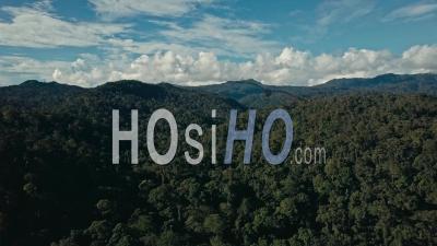 Images Aériennes De Drones De La Forêt Tropicale à Sabah, Bornéo, Malaisie