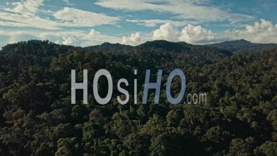 Aerial Drone Footage Of The Rainforest At Sabah, Borneo, Malaysia