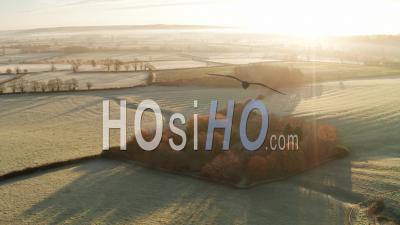 Aerial Drone Video Of Rural Countryside Landscape Scenery With Orange Autumn Trees And Green Fields In Farmland On A Farm With Typical Beautiful English Woods In The Cotswolds In Beautiful Sunrise Sunlight, England, United Kingdom
