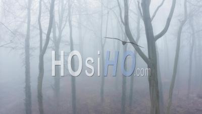 Aerial Drone Video Of Woods In Misty Foggy Weather Conditions With Bare Trees In Mysterious Woodlands In Mist And Fog, Spooky Haunted Atmospheric Mood, Beautiful Nature Landscape Scenery In England, United Kingdom