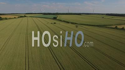Aerial View Of Wheat Fields Northamptonshire England United Kingdom - Video Drone Footage