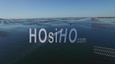 Oyster Farm On Etang De Thau, Video Drone Footage