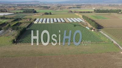 Greenhouse Crops - Video Drone Footage