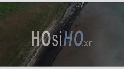 Pélicans Dans Le Parc National De Gorongosa Au Mozambique - Vidéos Par Drone