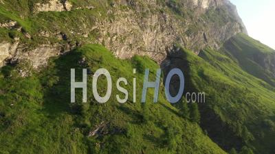 Forest And Rocks Of The Swiss Alps, Mountain Deer Runs - Video Drone Footage