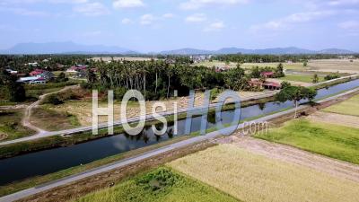 Aerial Fly Over Green Paddy Field - Video Drone Footage