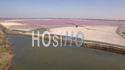 Salt Marshes, Grau-Du-Roi - Video Drone Footage