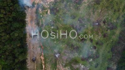 Aerial View Burning Of Dead Oil Palm Tree - Video Drone Footage