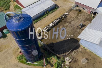 Small Michigan Dairy Farm - Aerial Photography