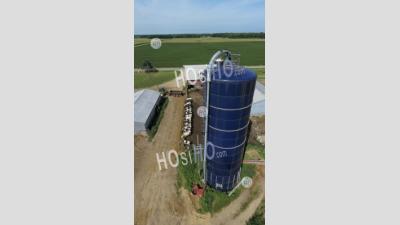 Small Michigan Dairy Farm - Aerial Photography