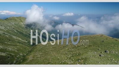Low Clouds In A Mountain Valley, Piemont, Italy, Viewed From Drone