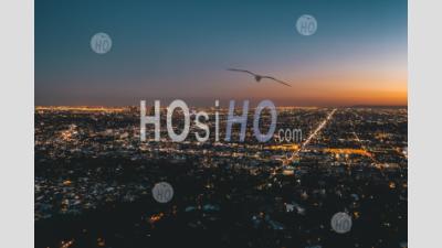 Aerial Wide View Over Glowing Los Angeles, California City Lights Scape Hq - Aerial Photography