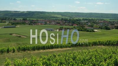 Champagne Vineyard, Charly-Sur-Marne - Video Drone Footage