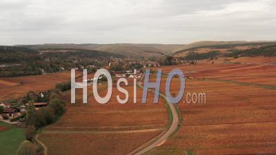 Aerial View The Vineyard In Burgundy In Autumn Filmed By Drone