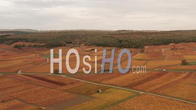 Aerial View The Savigny Les Beaune Vineyard In Burgundy In Autumn Filmed By Drone