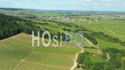 Aerial View Of The Vineyard Of Meursault In Burgundy Filmed By Drone