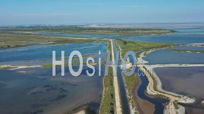 Camargue Ponds And Salt Marshes - Video Drone Footage