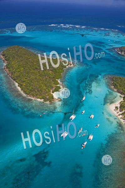 Tobago Cays In The Caribbean 
