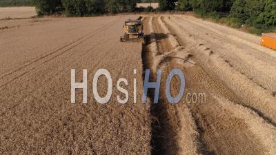 Combine Harvester In A Wheat Field (sunset) - Video Drone Footage