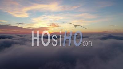 Flight Above The Clouds - Video Drone Footage