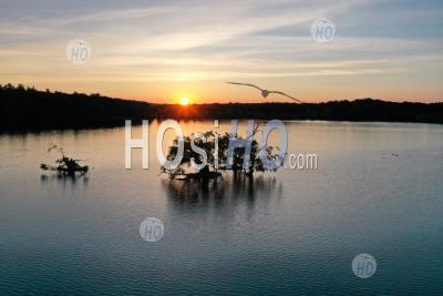 Lac De La Nouvelle-Angleterre, Oiseaux Au Coucher Du Soleil - Photographie Aérienne