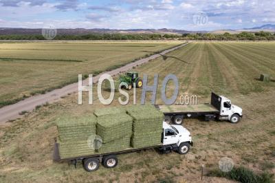 Alfalfa Harvest In New Mexico - Aerial Photography