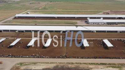 Colorado Dairy Farm - Vidéo Par Drone