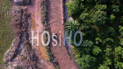 Aerial Look Down Excavator Move For Land Clearing At Green Bush Forest - Video Drone Footage
