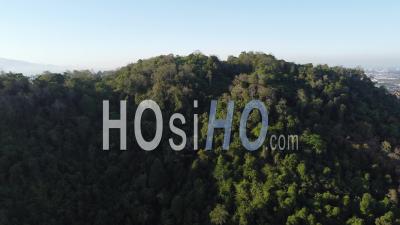 Aerial View Forest In Sun Light Shadow - Video Drone Footage