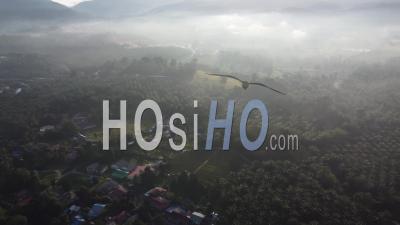 Misty Weather In Morning - Video Drone Footage