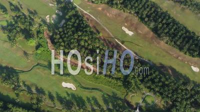 Aerial View Golf Club Planted With Oil Palm Tree - Video Drone Footage