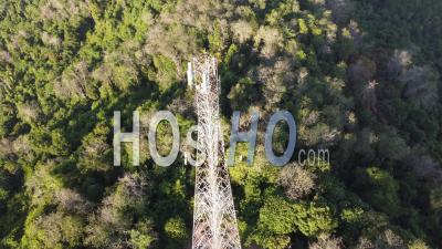 Telecom Antenna In The Forest - Video Drone Footage