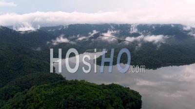 Aerial View Curve Shape Of Lake Near Rainforest - Video Drone Footage