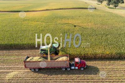 Corn Harvest - Aerial Photography