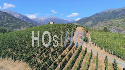 Vignobles, Aymavilles, Vallée D'aoste, Italie - Vidéo Par Drone