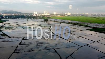 Aerial View Reflection Of Sky Over Water In Rice Paddy Field - Video Drone Footage