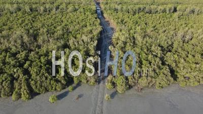 Aerial Mangrove Swamp Deforestation Activity - Video Drone Footage