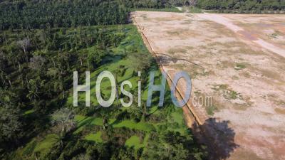 Aerial Rotate The Green Plantation And Land Clearing - Video Drone Footage