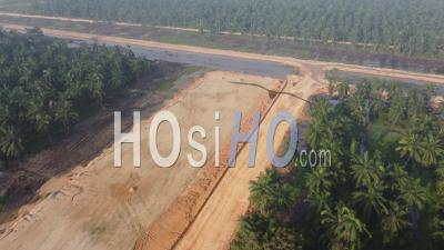 Aerial View Land Clearing Of Oil Palm - Video Drone Footage