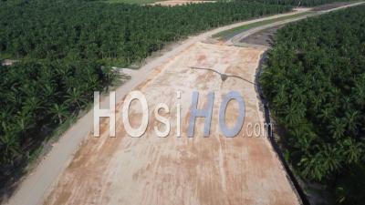 Aerial View Deforestation Of Oil Palm Tree - Video Drone Footage
