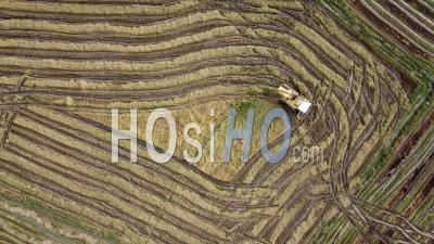 Aerial View Harvester With Nice Pattern Route After Harvesting - Video Drone Footage
